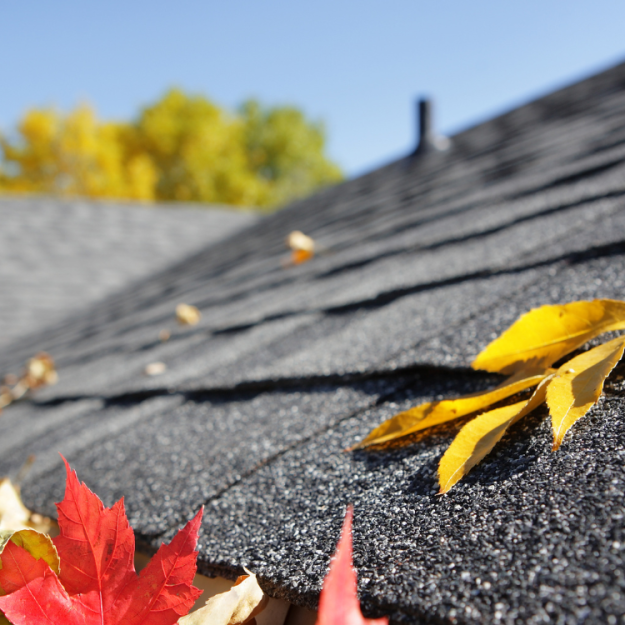 Roof Replacement League City, TX Roof Replacement League City, TX