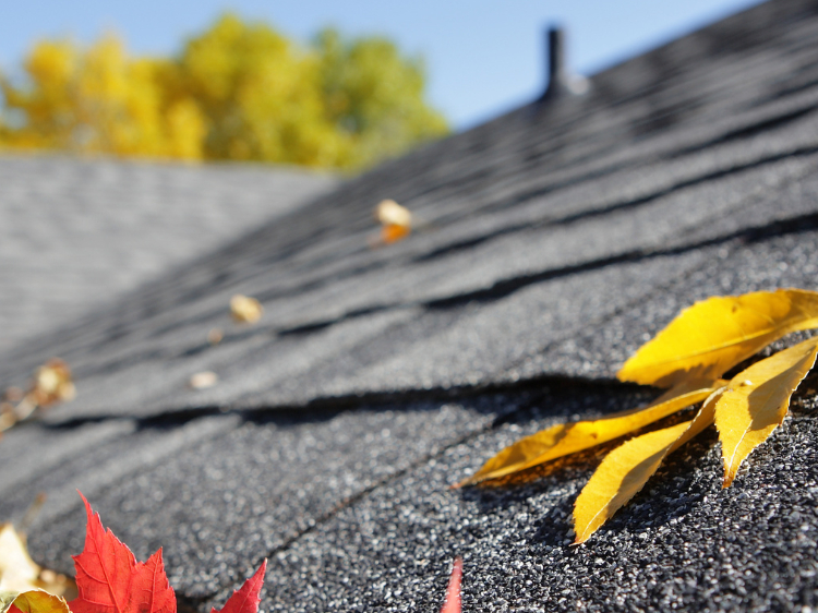 Roof Replacement League City, TX Roof Replacement League City, TX